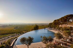 a swimming pool with a view of a vineyard at Château Capitoul in Narbonne