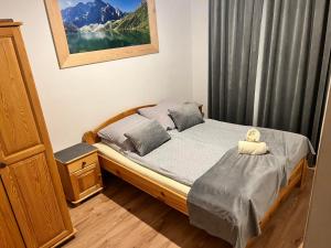 a bedroom with a bed and a window with mountains at Apartamenty Nad Dunajcem koło Zakopanego in Biały Dunajec