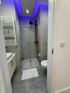 Ένα μπάνιο στο Apartments MERLIN -ANTRESOLA przy Starówce +36 φωτογραφίες