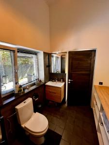 a bathroom with a toilet and a sink at Villa Gauja - holiday home close to the sea and lake in Gauja +78 photos