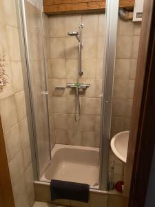 a shower with a glass door next to a sink at Kalbhof in Breitbrunn am Chiemsee