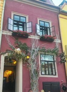 Billede fra billedgalleriet på Casa Kuhn i Sighişoara