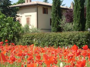 a field of red flowers in front of a house at Camere La Rugiada in Rivotorto