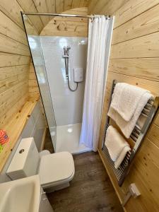 a bathroom with a shower and a toilet at Radio Skye Pods in Portree +12 photos