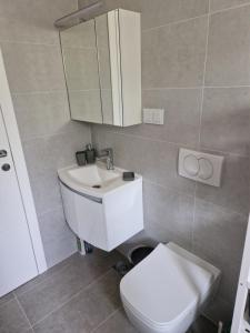 a bathroom with a toilet and a sink and a mirror at B&L Apartments in Vir