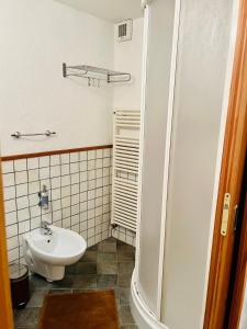 Koupelna v ubytování La Vrille - Metcho