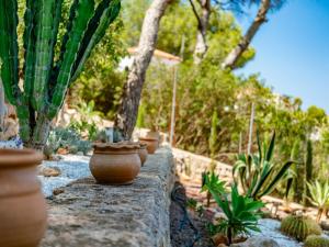 Vonkajšia záhrada v ubytovaní Villa Villa Vista Paraiso by Interhome