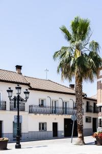 una palmera delante de un edificio en Casantonia, en Recas