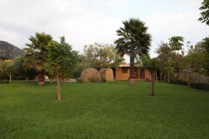 a yard with palm trees and a house with domes at Madre Tierra B&B in Tepoztlán