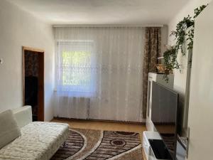 TV a/nebo společenská místnost v ubytování Wohnung 5min von Leoben entfernt + 3 fotografie