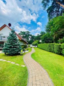 a walkway in a yard with a christmas tree at Neuenhagen Haven in Neuenhagen