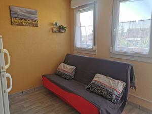 a living room with a couch and two windows at Gîtes Marschall Jean-Pierre in Beblenheim