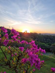 カンピーナスにあるUm paraiso em meio à cidadeのギャラリーの写真