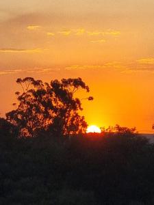 カンピーナスにあるUm paraiso em meio à cidadeのギャラリーの写真