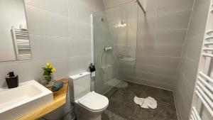 un bagno con wc, lavandino e doccia di Dream Cottage a Paltin