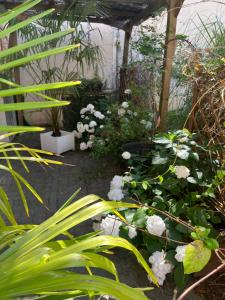 un jardin avec des fleurs blanches dans une serre dans l'établissement La Dolce Vita à Epernay, à Épernay
