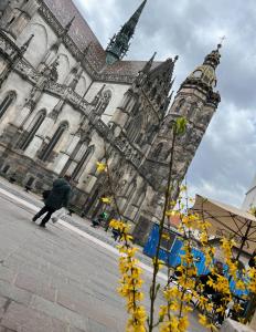 Zajímavé místo poblíž hostelu + 7 fotografií