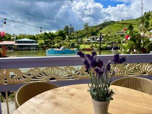 Nespecifikovaný výhled na hory nebo výhled na hory při pohledu z hotelu