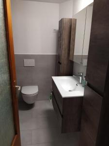 a small bathroom with a toilet and a sink at Appartamento con giardino - Alle Bolle in Corzoneso