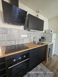 una cocina con fregadero y encimera en Le Petit Ecureuil charmant gîte jardin terrasse, en Les Herbiers