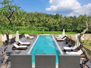 Bassenget på eller i nærheten av Villa Norwegia - pool with panorama rice field view