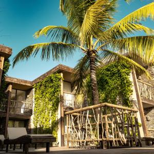 a palm tree and a bench in front of a building at Apenunga Eco Hotel in Jericoacoara