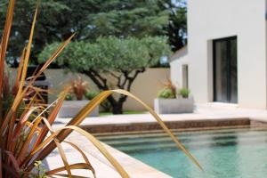 a swimming pool in a house with some plants at La Maison d'Ambrine - Villa Grignan in Grignan