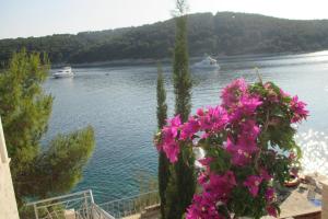 Gallery image of Villa Rosada in Vela Luka +18 photos
