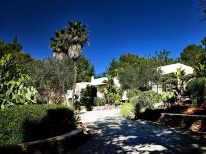 ein Haus mit einer Palme und einer Auffahrt in der Unterkunft Stylish 5 bedroom luxury villa with pool and sauna in Santa Eulària des Riu