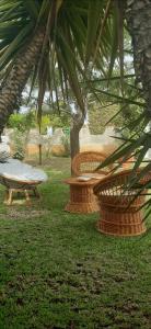 a group of picnic tables and chairs under a tree at Villa Salvina Beach in Fontane Bianche +13 photos