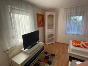 a living room with a flat screen tv on a table at DUO am Residenzschloss Ludwigsburg in Ludwigsburg