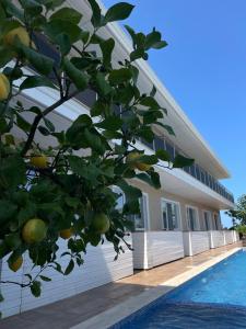 Gallery image of Gradina Holiday in Sozopol