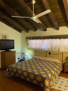 a bedroom with a bed and a flat screen tv at Cal Bondia in Cretas