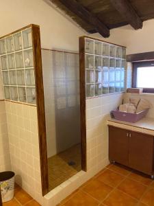 a bathroom with a glass shower with a mirror at Cal Bondia in Cretas +21 photos