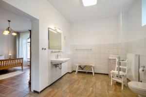 a bathroom with a sink and a toilet at Ferienwohnungen Hof Luisenau in Temmen-Ringenwalde +62 photos