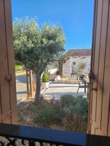 Zahrada ubytování L'Apt Tropez