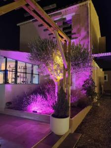 Zahrada ubytování L'Apt Tropez