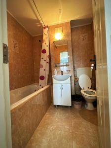 Ένα μπάνιο στο Apartament Dya HATEG 9