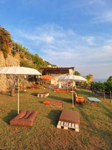 a group of chairs and umbrellas in a field at Limoni in Praiano