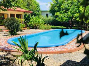 una piscina in un giardino con un uccello che vola intorno di Hotel Cocodrilo Sierpe a Sierpe