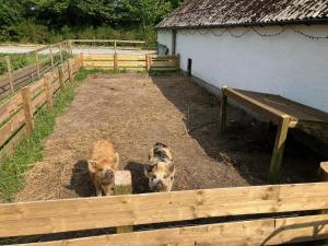 Gallery image of GårdenGodthåb in Hjørring