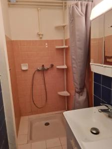 Bilik mandi di Appartement confortable à Pietrosella 40 m² avec jardin