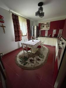 Η κουζίνα ή μικρή κουζίνα στο Casa Iuliana Camelia