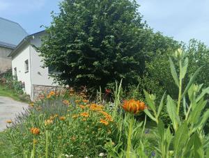 un jardín con flores delante de un árbol en Le domaine de Moïse, en La Fouillade