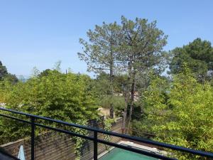 Φυσικό τοπίο κοντά σε αυτό το διαμέρισμα