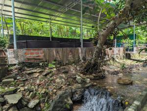a garden with a tree and a waterfall at OG Homes in Ha Giang