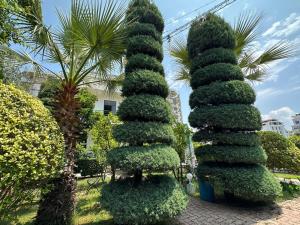 Zahrada ubytování A-Vila