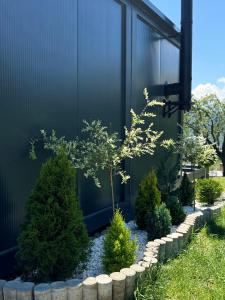 a small tree in a garden in front of a building at Crossroads Cabin in Sălişte