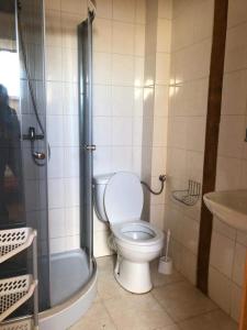 a bathroom with a toilet and a shower and a sink at Stajnia Czahary 2 in Pogorzelica
