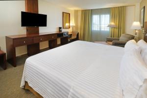 a hotel room with a large bed and a television at Holiday Inn Hotel & Suites Hermosillo Aeropuerto, an IHG Hotel in Hermosillo